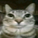 Gooseoma