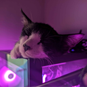 Trap_Fr