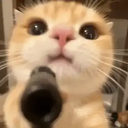SpaceCat