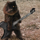 polosccoon